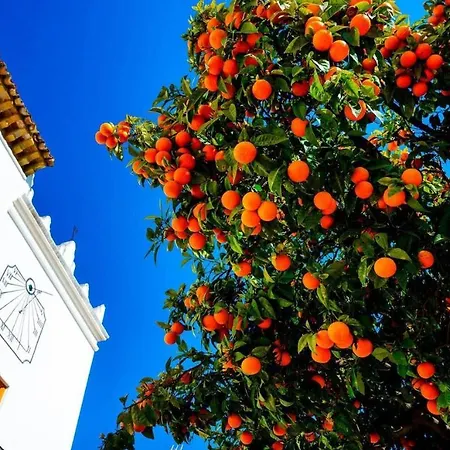 Ferienhaus Lovely Well Appointed Spanish Townhouse Marbella